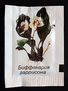 RU 3024